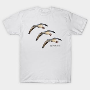 Three Snows T-Shirt